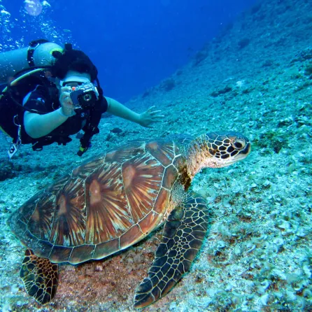 Snorkeling a bordo dei gommoni Blue Vibes, escursioni Argentario